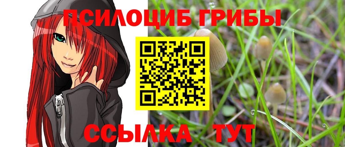 Щёлково  Галлюциногенные грибы Magic Shrooms  Вход с VPN 