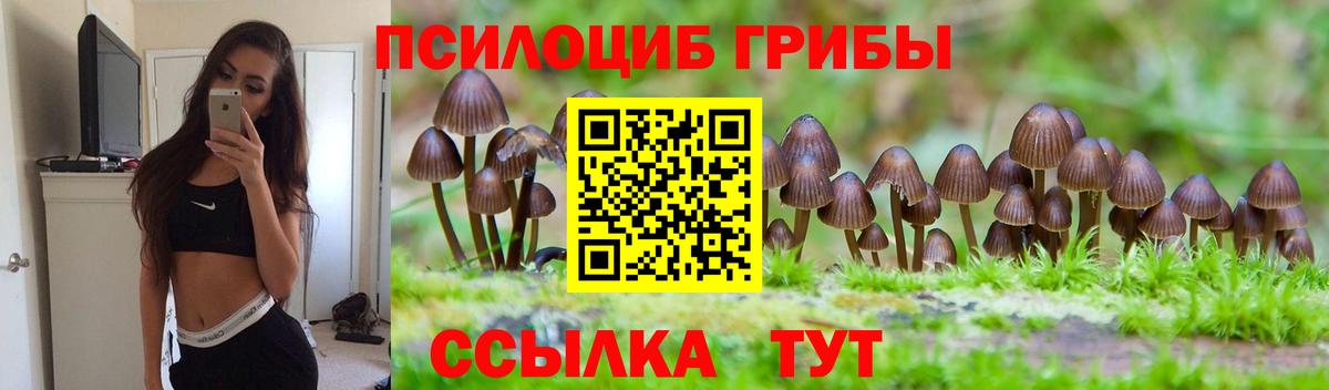 Галлюциногенные грибы мицелий Щёлково